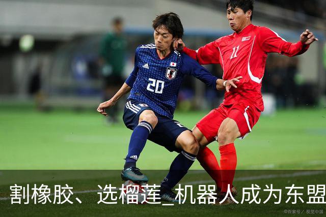 割橡胶、选榴莲 机器人成为东盟市场“新宠” 各国释放明确需求信号